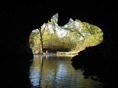 Cave Spring Whore