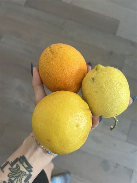 Citrus Whore