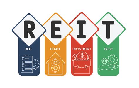 De Reit Whore