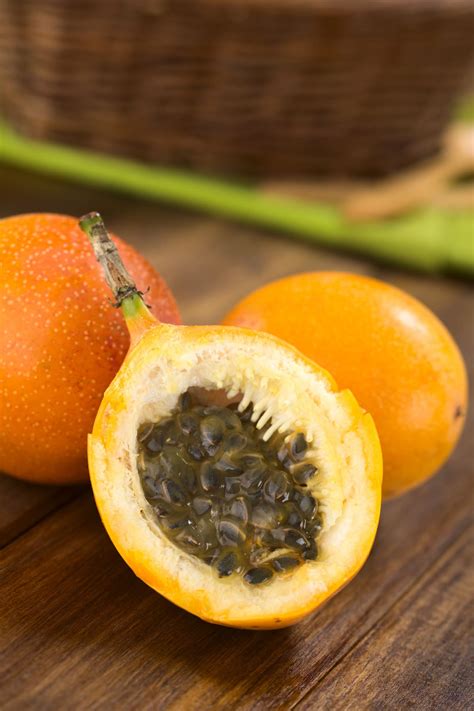 Granadilla Whore