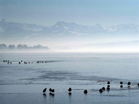 Greifensee Whore