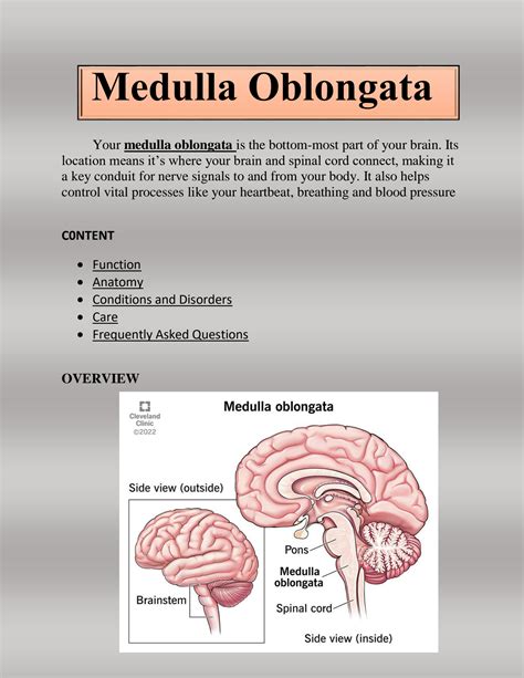 Medulla Whore