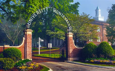Montevallo Whore