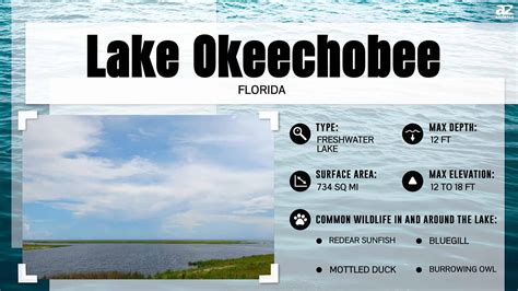 Okeechobee Whore