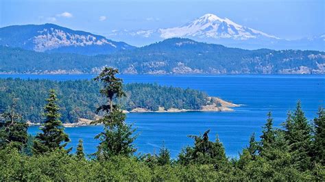 Salt Spring Island Whore