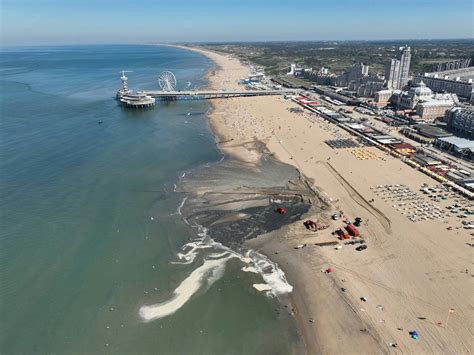 Scheveningen Whore