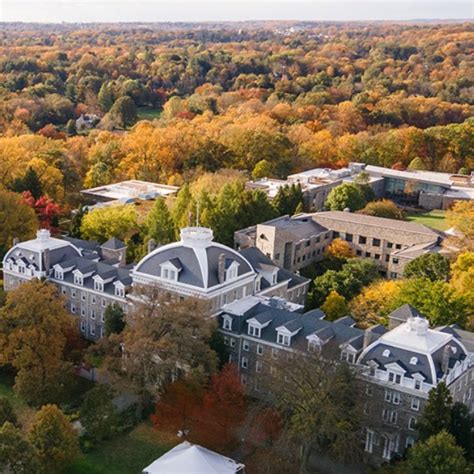Swarthmore Whore