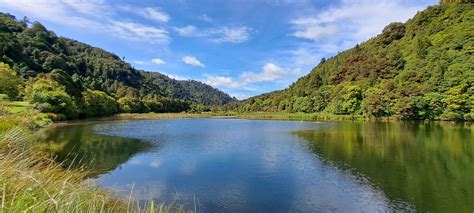 Wainuiomata Whore